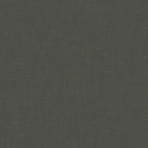 5024 Black Bird